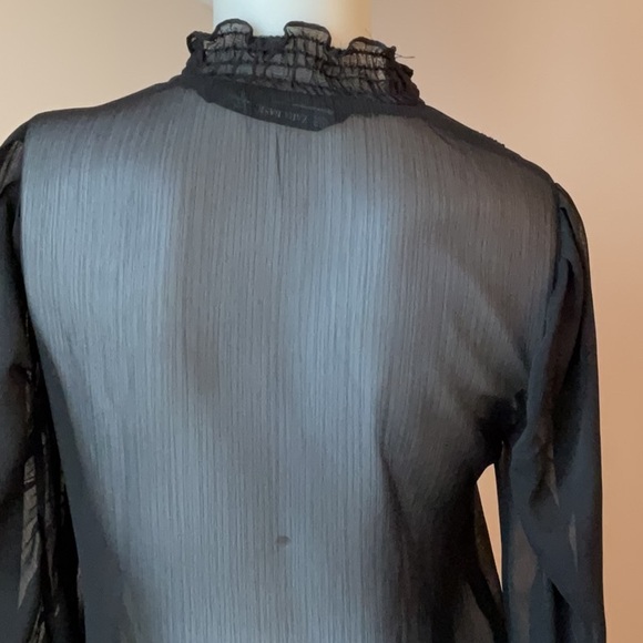 Zara Sheer Long Tunic - Picture 8 of 12